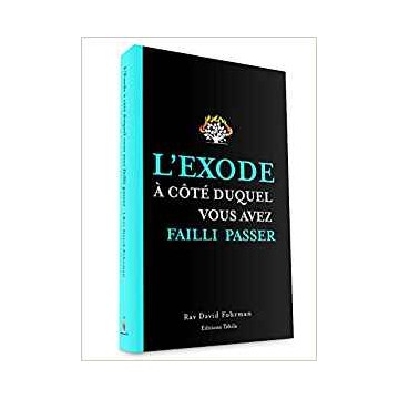 L'Exode a côté duquel vous avez falli passer - Rav David Fohrman