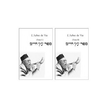 Coffret Chaar Ha Haqdamot ( 2 Volumes ) - ARI ZAL Hebreu / Francais