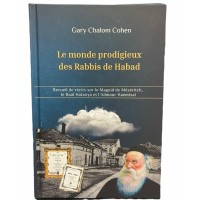 Le monde prodigieux des Rabbis de Habad