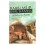 Rabbi Meir Baal Ha Ness - Le maitre des Miracles 