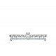 Hanoukia " shemesh " 1
