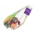 Fruits pour decorer la souccah 