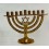 Hanoukia 5