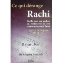 Ce qui dérange rachi bamidbar 