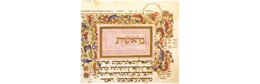 Torah & commentaires